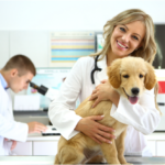 ¿Qué bachillerato hay que hacer para estudiar veterinaria?